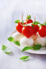 Tasty mozzarella cheese with basil and tomatoes