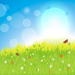 frühlingshafter Hintergrund © lienchen020_2