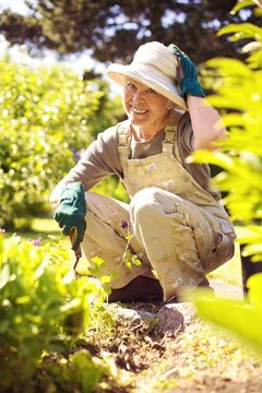 Happy older woman gardening
