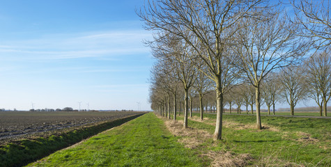 Ditch through the countryside in winter