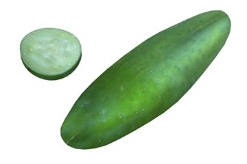 realistic 3d render of cucumber