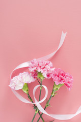 カーネーション　母の日