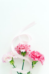 カーネーション　母の日