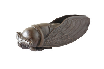 Bronze cicada isolated on white background
