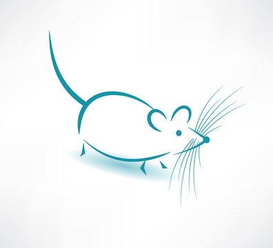 lab mouse diagram