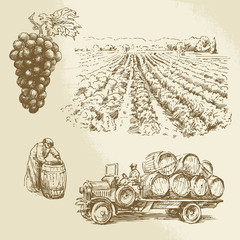 vineyard, harvest, farm - hand drawn collection