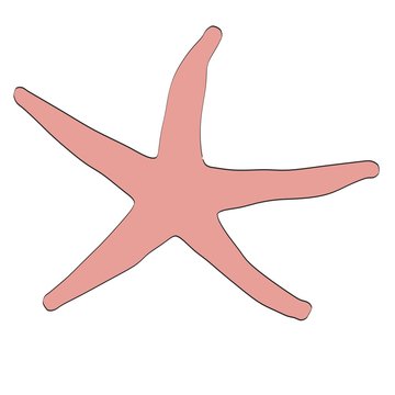 cartoon image of sea star