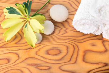Spa still life with stone, variegated leaf  and white towel on r