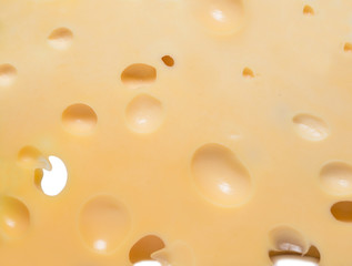 cheese