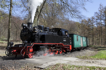 Fototapeta na wymiar Historyczny pociąg parowy na Rugii One
