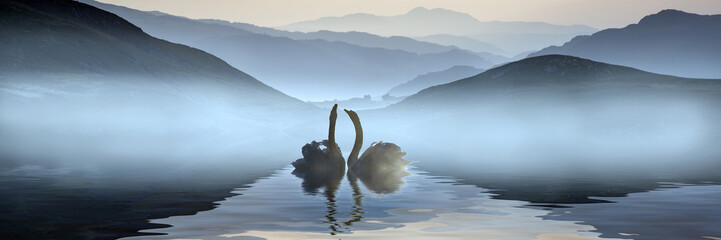 Belle image romantique des cygnes sur le lac brumeux avec des montagnes j& 39 ai