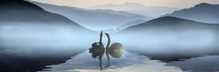 Schilderijen op glas Mooi romantisch beeld van zwanen op mistig meer met bergen i © veneratio