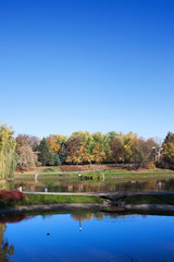 Fototapeta na wymiar Park with Ponds in Warsaw