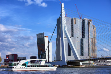 Rotterdam City Downtown
