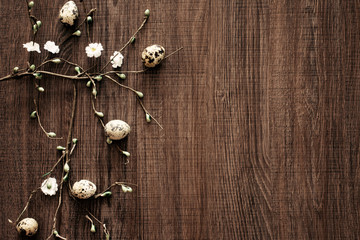Eggs for Easter on a flower branch