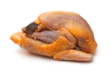 Guinea fowl on a white studio background.