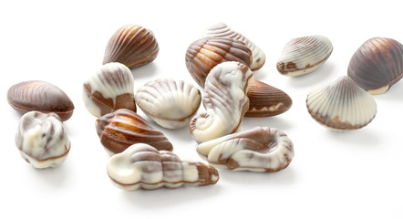 Chocolate Seashell Truffles