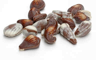 Seashell Chocolates