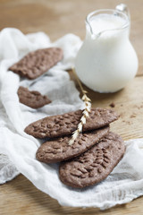 Homemade chocolate and nut cookies with milk