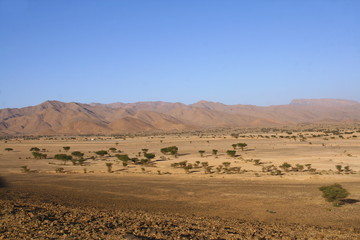 vallée aride dans l'anti-atlas