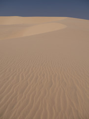 Dune desert
