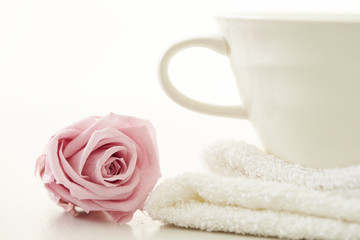 Pink rose