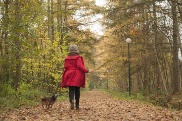 Running with the dog in the forest