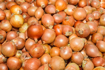 Fresh harvest of  juicy onions at  local fruit market