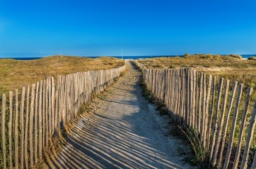 Dunes au bord de la Méditérranée.