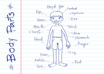 Illustration parts of the body