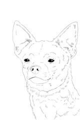 The Chihuahua is the smallest breed of dog and is named after th