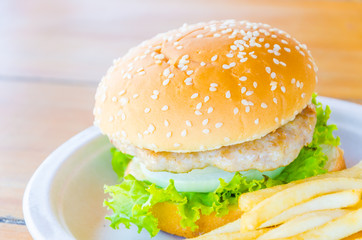 Hamburger and french fries , fast food