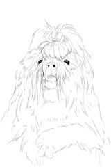 The small doggie with a bow lies on a log having lowered pads