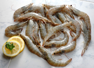 crevettes gambas
