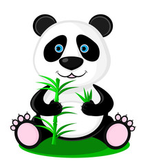 Cute panda bear