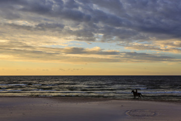 Horse riding on the beach