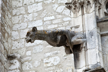 Fototapeta na wymiar Gargoyle on cathedral of Saint Louis in Blois,