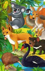 Cartoon australian animals - illustration for the children
