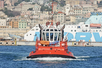 tug in the port