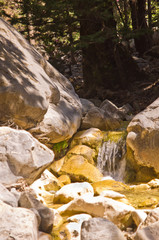 Fototapeta premium Mountain creek through Samaria gorge, island of Crete