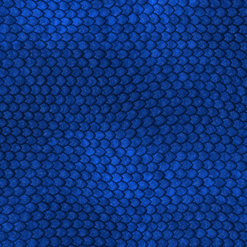 Blue Dragon scales pattern © Artsaba Family