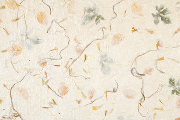 Paper background with organic leaves intertwined.