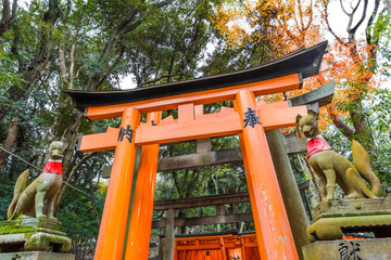 Torii at Fushimi Inari shrine in Kyoto - Powered by Adobe