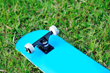 skateboard on grass © lzf