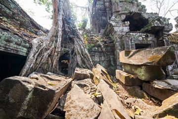 Ta Prohm temple at Angkor Wat, Siem Reap, Cambodia.