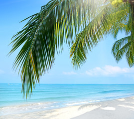 Fototapeta premium Tropical beach. Koh Chang