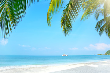 Fototapeta na wymiar Beach with palm trees. Koh Chang, Thailand