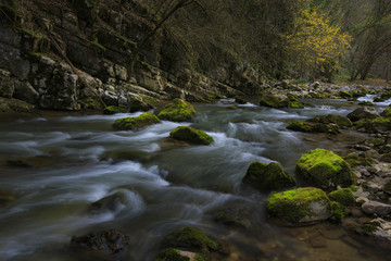 Mountain stream and waterfalls in the forest in spring
