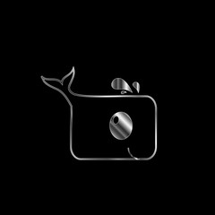 Dolphin graphic for children