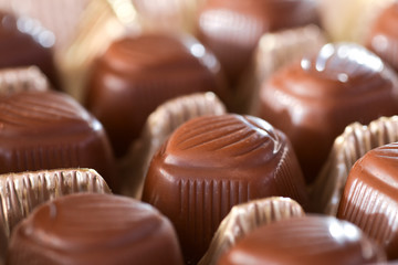 Closeup chocolates placed in plastic holder